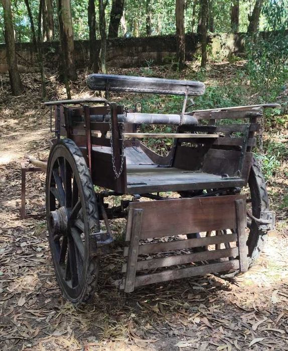 Charrete de duas rodas