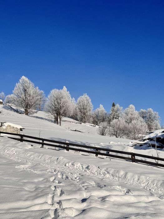 Оренда котеджу в Карпатах з чаном-джакузі