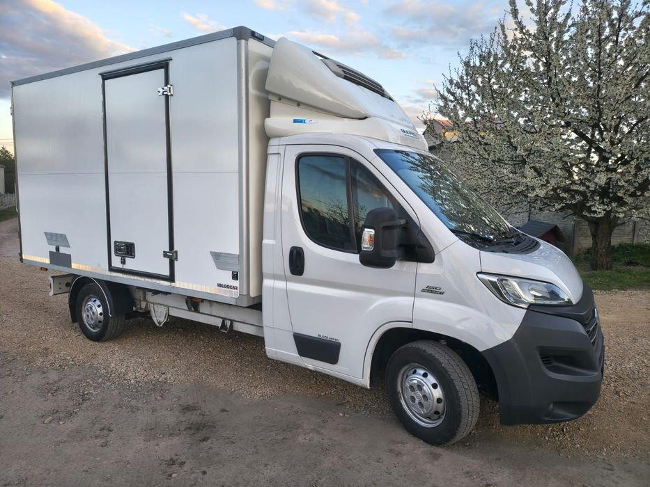 Fiat FIAT/IGLOOCAR  FIAT DUCATO/Igloocar  Izoterma chłodnia