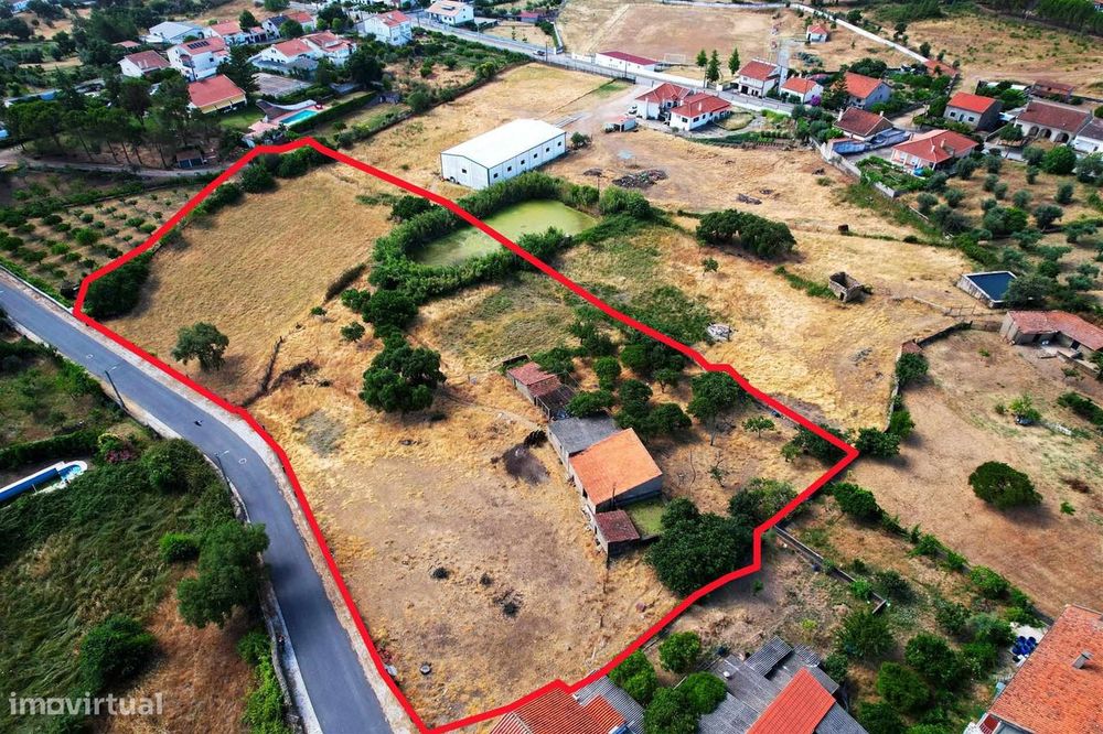 Quinta
