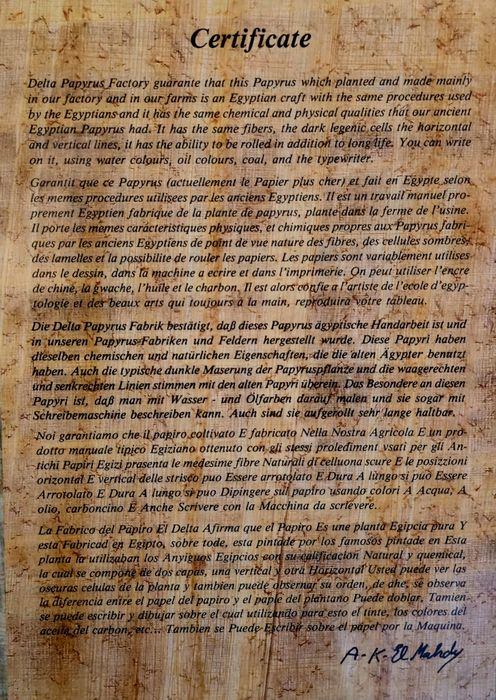 Quadro com Certificado [Papiro]