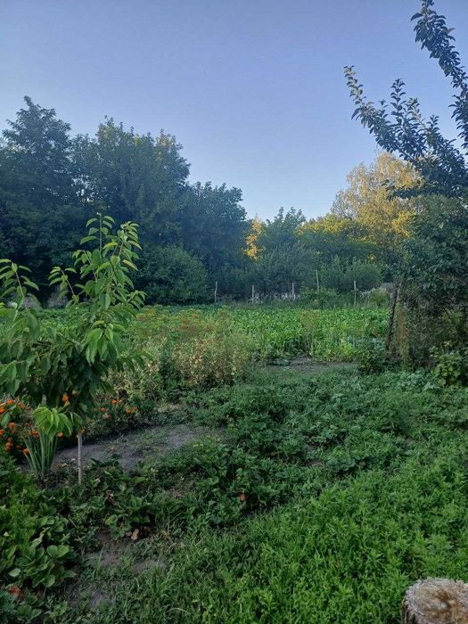 Продається затишний будинок з ремонтом в Богодухові