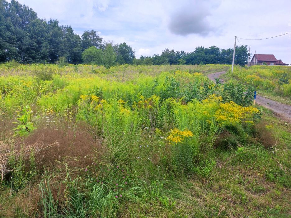 Продам свой участок 12 соток в живописном месте