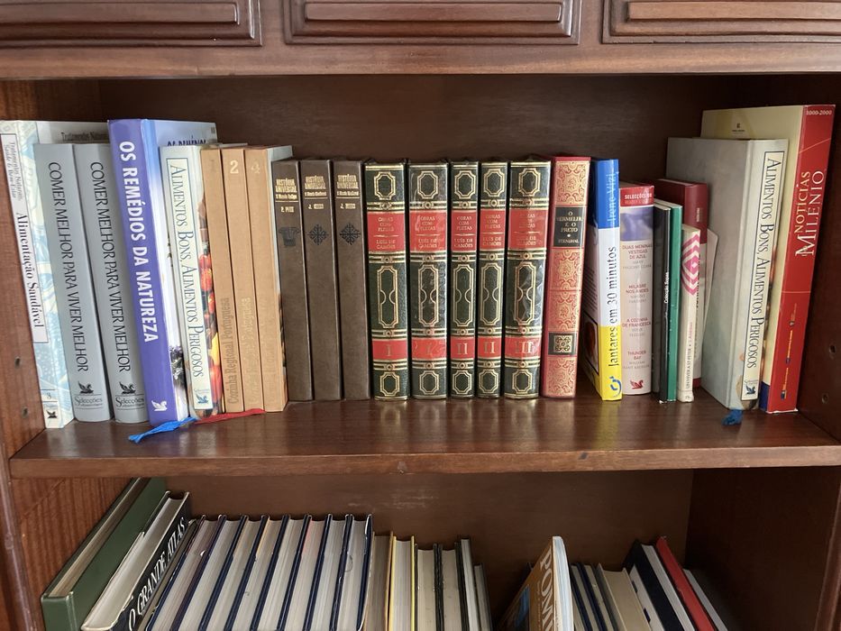 Conjunto de livros, dicionarios, enciclopedias