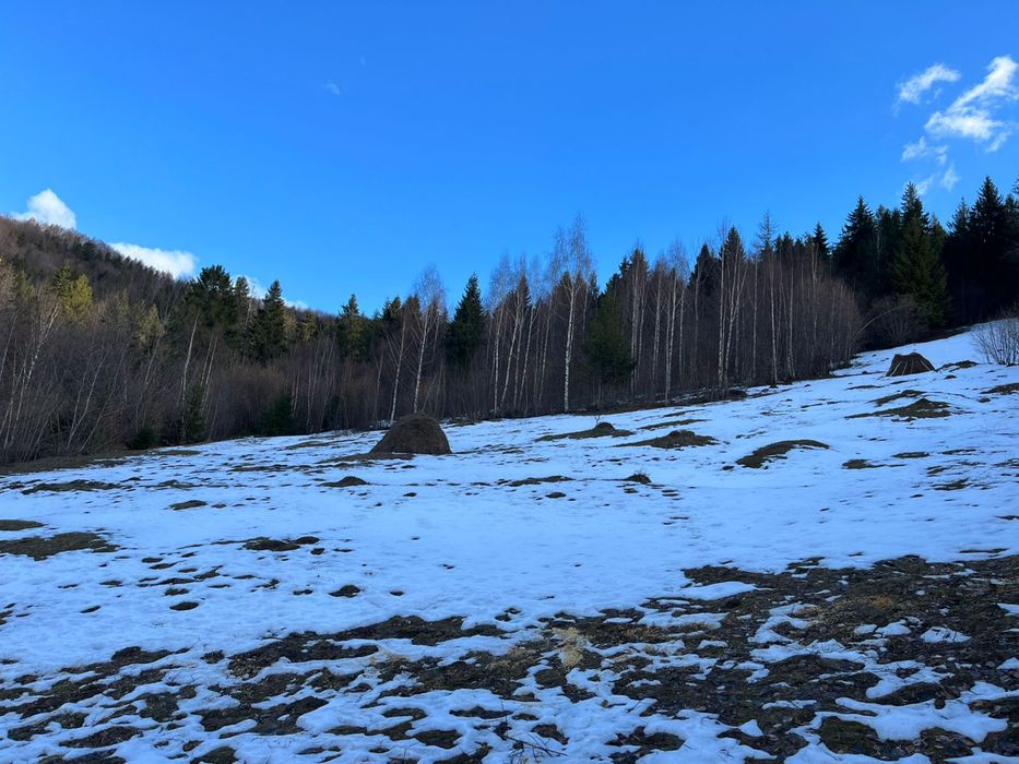 Продається земельна ділянка