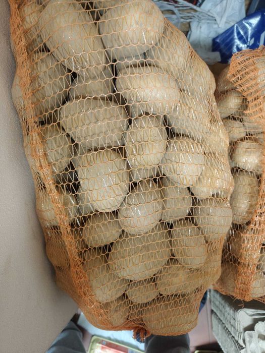 ziemniaki SWOJSKI naturalne SORAYA TANIO