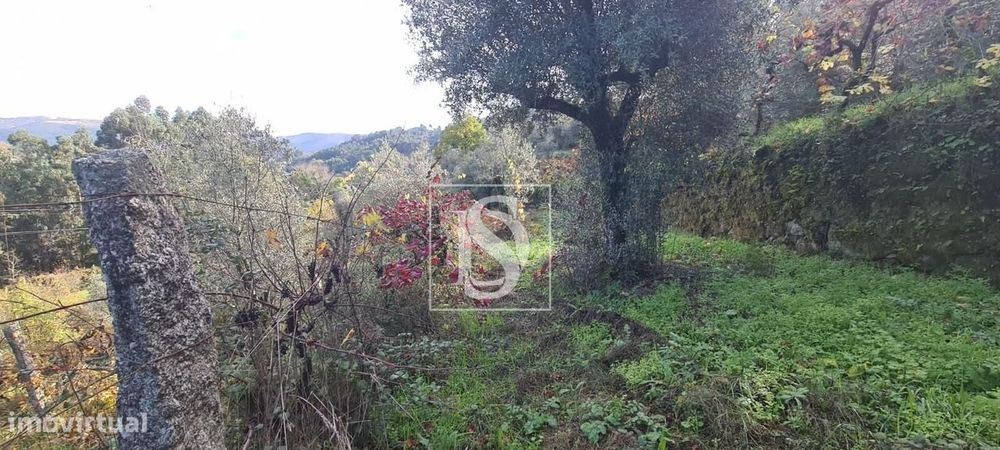 Terreno  Venda em Candemil,Amarante