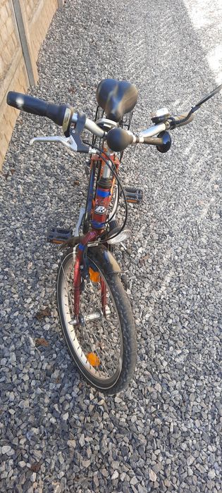 Rower Pegasus koła 20"
