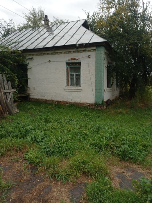Будинок в 100км від Києва в селі Підлісне.