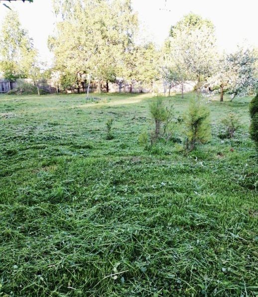 Покіс трави,бурʼяну,вивіз сміття.Послуги садівника.Бучанський район