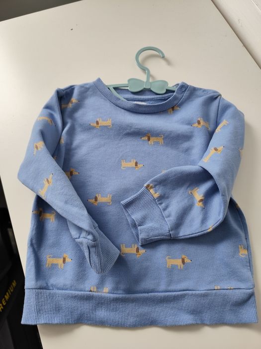 Bluza Sinsay rozm 98, błękitna z pieskami