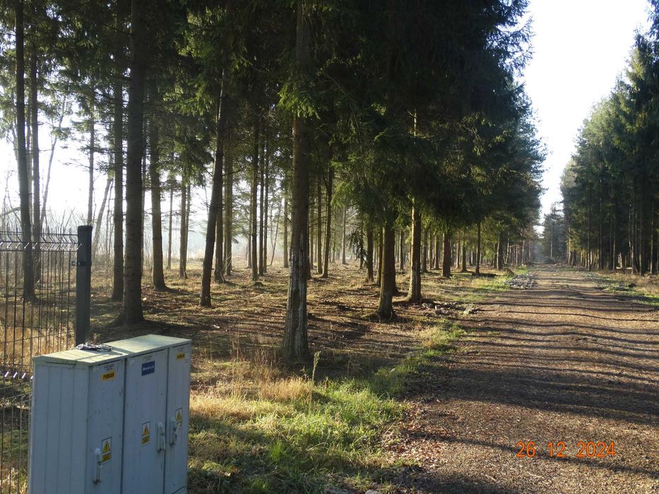 Działki budowlane, rekreacyjne Łukawska Wola - Widok 5