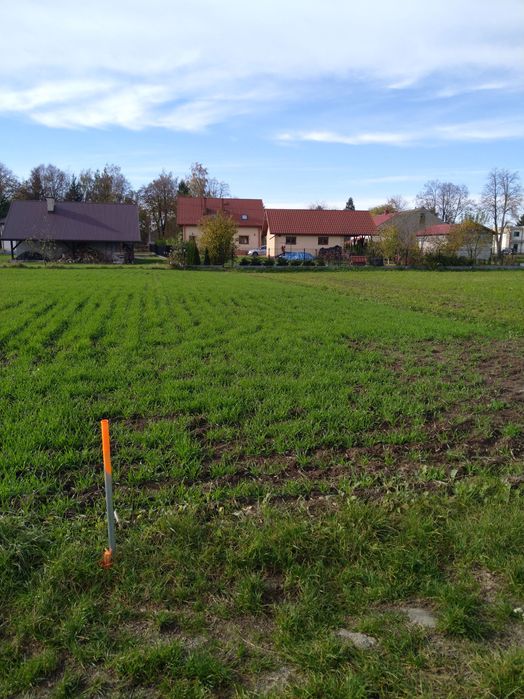 Działki budowlane 8,75 ar z warunkami zabudowy w Borowej pow. Mielecki