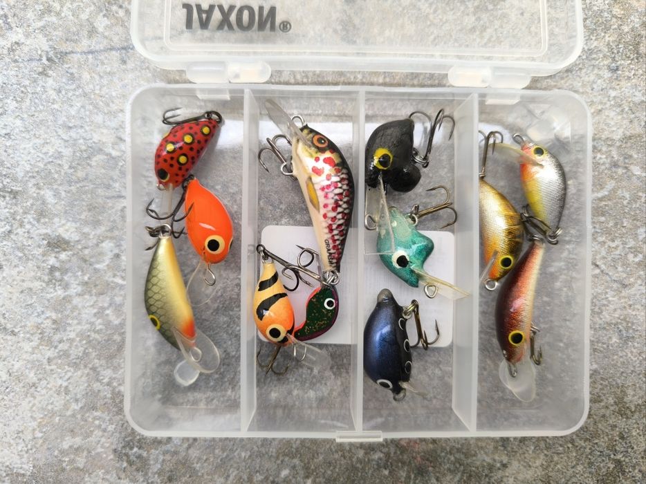 Woblery kleniowo-jaziowe 12 sztuk + pudełko