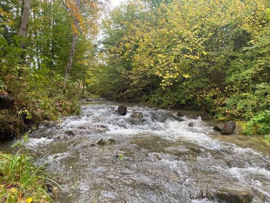 Domki nad Starym Potokiem, Bieszczady, Solina, Ustrzyki Dolne
