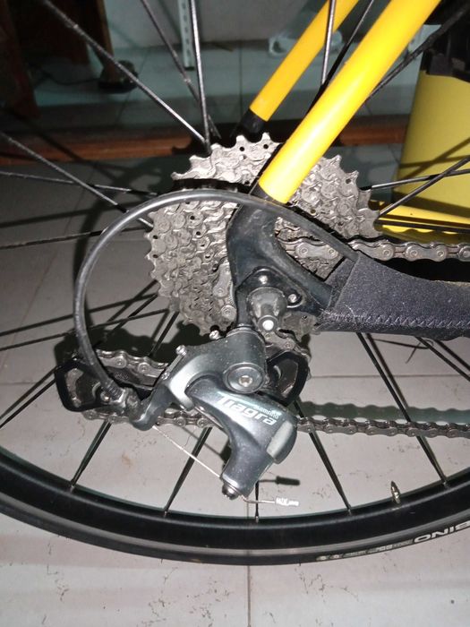 Focus Izalco max personalizada carbono Tamanho M