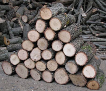 Продам дрова різних порід дуб граб береза сосна вільха ясен