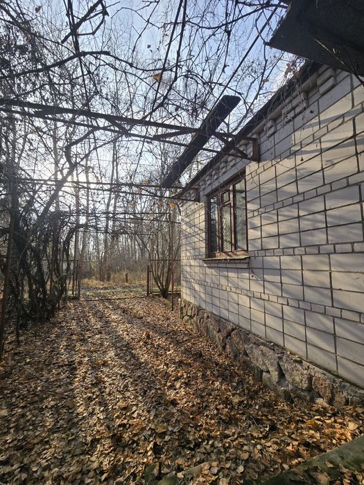 Дача у сосновому лісі біля Дніпра! Стовп’яги, СТ «Славутич»