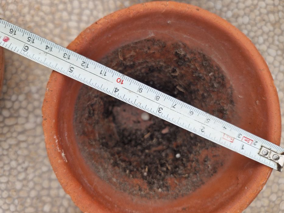 Lote de vasos de barro