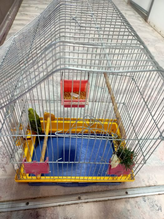 Продам на подарунок супер