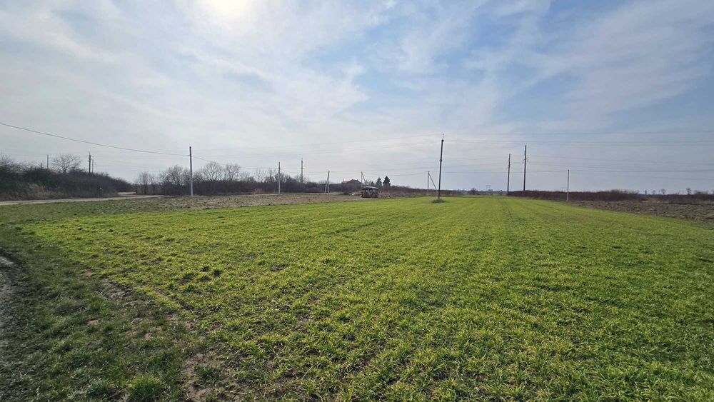 Ділянка у передмісті Ужгороду с. Баранинці