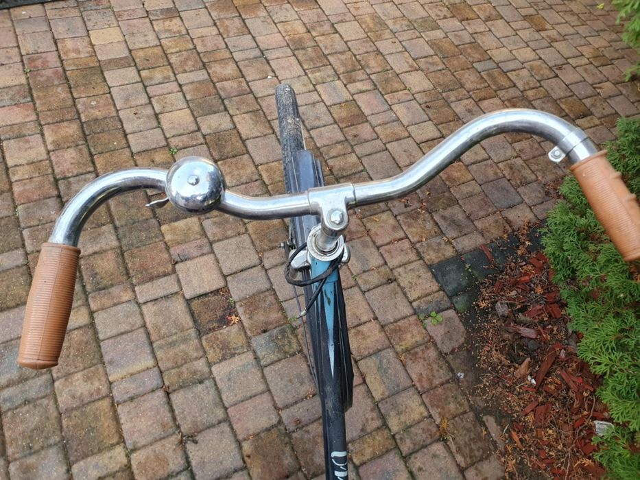 Rower damka niebieski