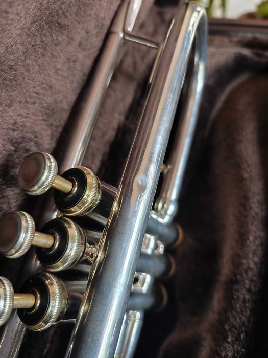 Trompete Bach Stradivarius 37 – Qualidade Profissional!