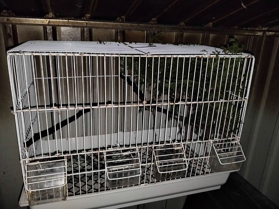 Vendo ou troco viveiro