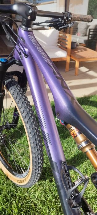 BH lynx Race carbono