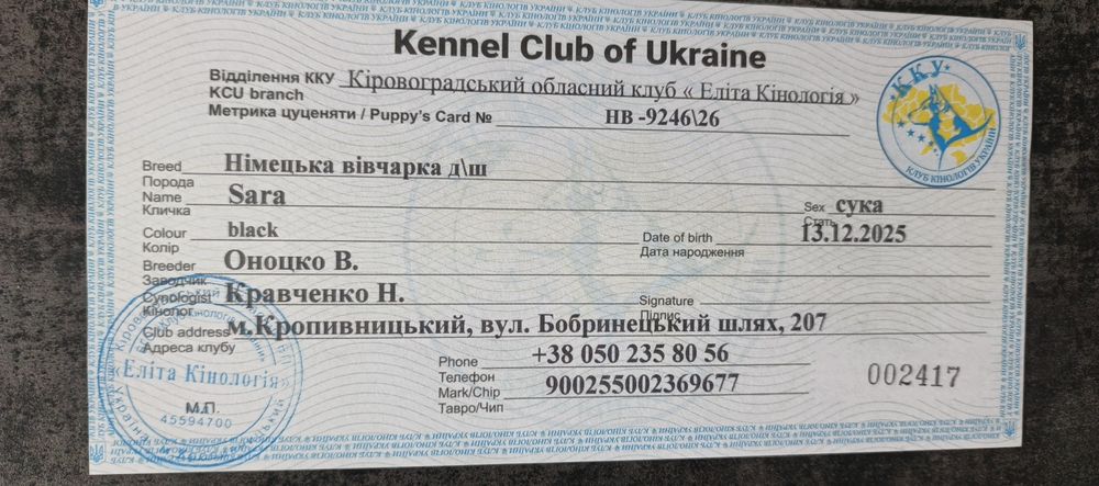 Продам щеня німецької вівчарки