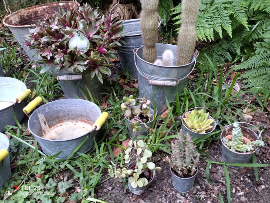 Conjunto de Peças em Folheta para Decoração de Jardim