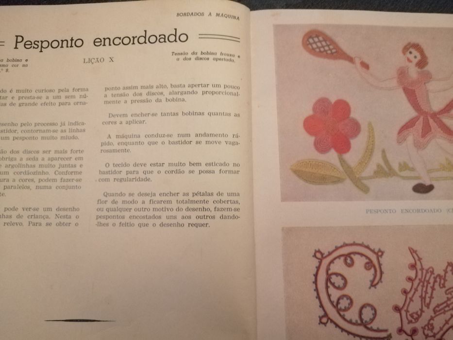 Livro bordados artisticos