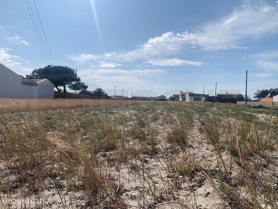 Terreno para venda próximo ao campismo da Vagueira