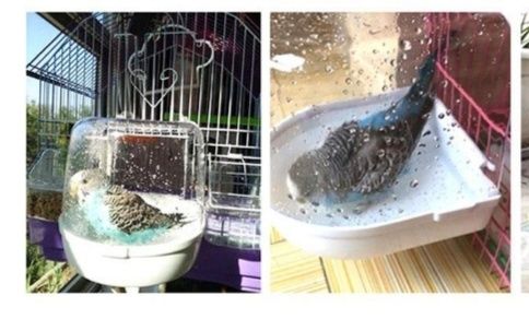 Підвісна ванна для птахів.