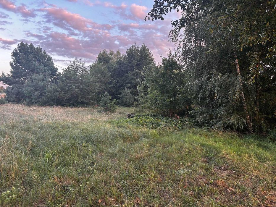 Dom – Mochowo - Widok 4