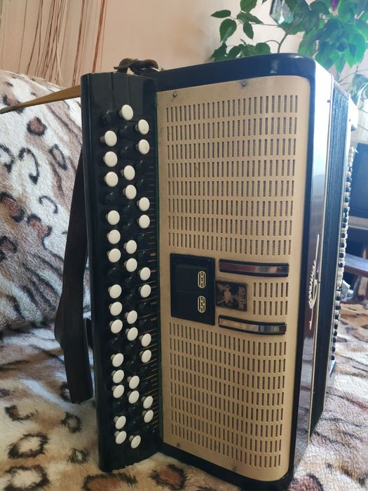 Баян Кримінне чорного кольору