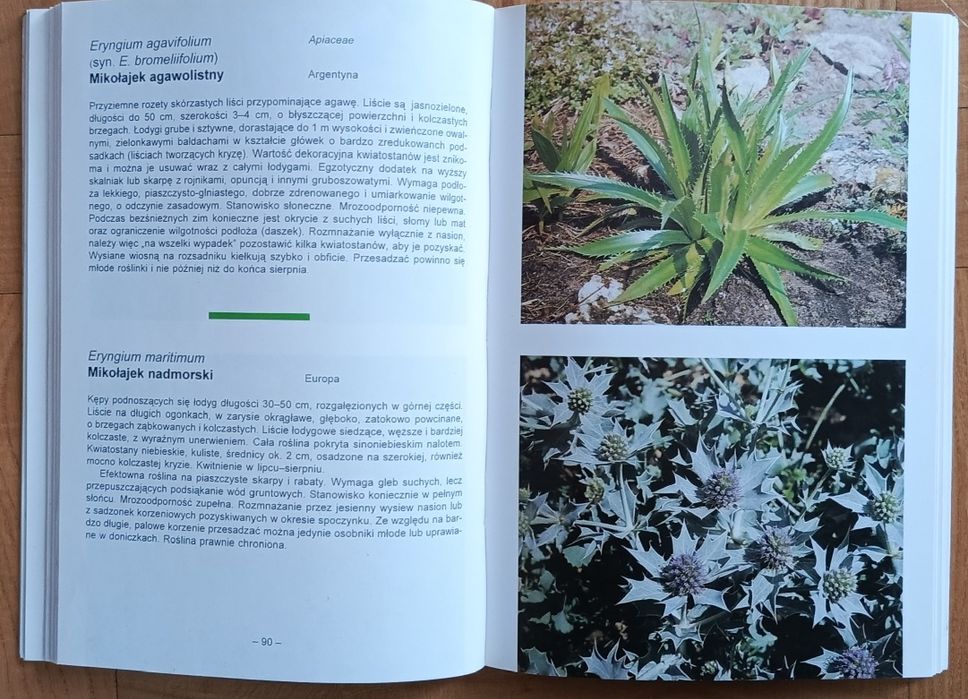 Zestaw 2 książek o ogrodach skalnych