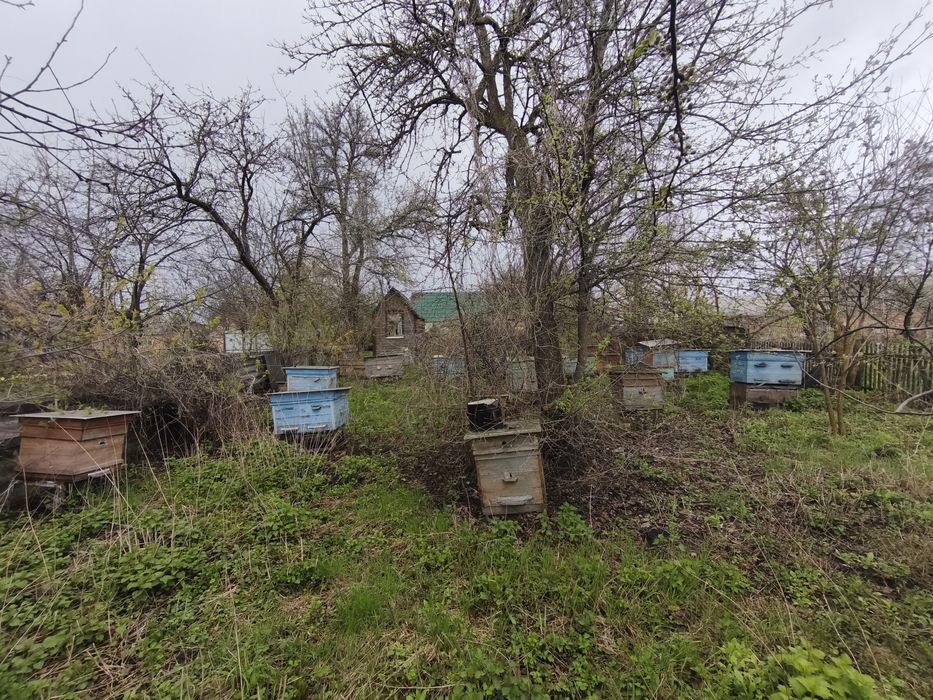 Продам будинок с.Северинівка,ідеально для пасіки і дачі
