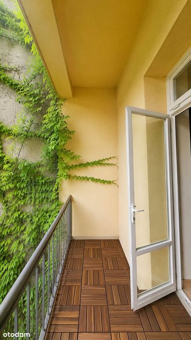 61,3 m² Stare Miasto | ul. św. Filipa | balkon | winda | bez prowizji