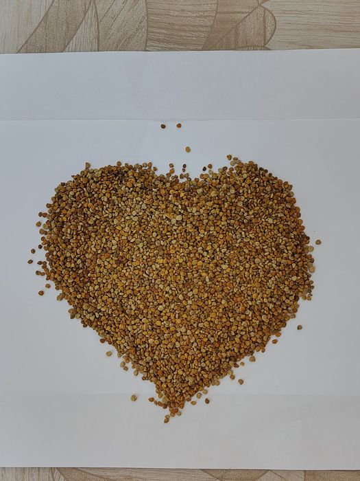 Пилок бджолиний 2025