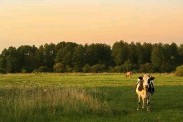 Будиночок для сімейного відпочинку на природі . Для двох.