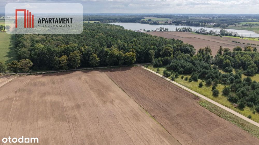 Działki z WZ – Grabowiec k. Iławy - Więcej
