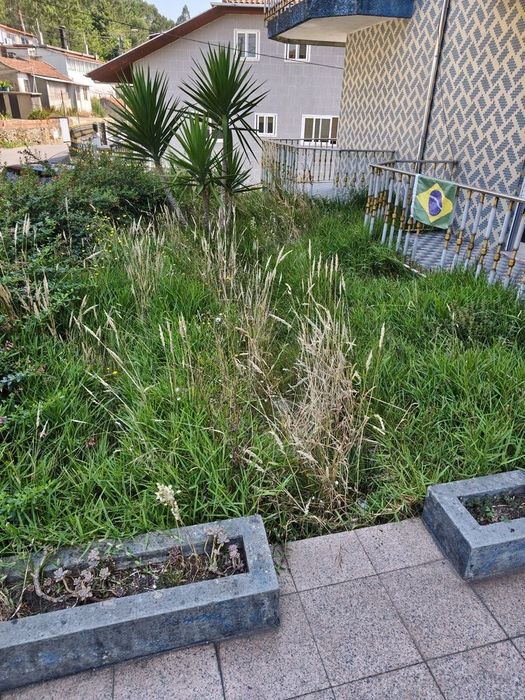Serviços jardinagem