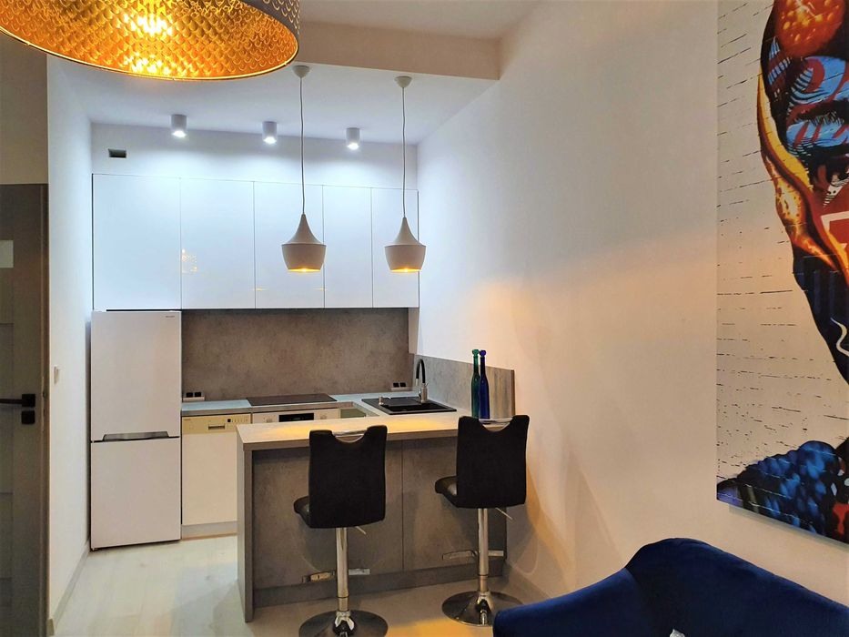 2pokoje, apartament ogrodek silownia parking Pogonowskiego, 10min od Piotrkowskiej, centrum
