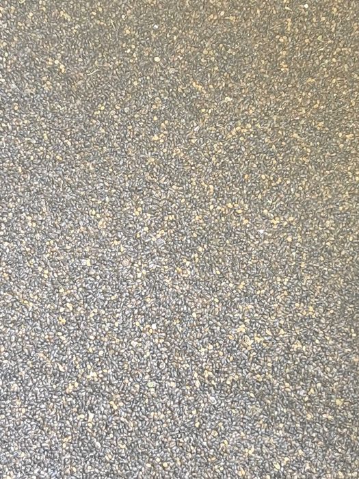 Nasiona cząbru zbiór 2025 wysyłka.