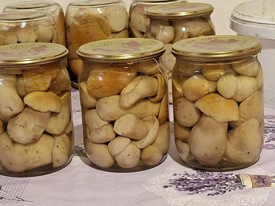 Гриби сушені та мариновані