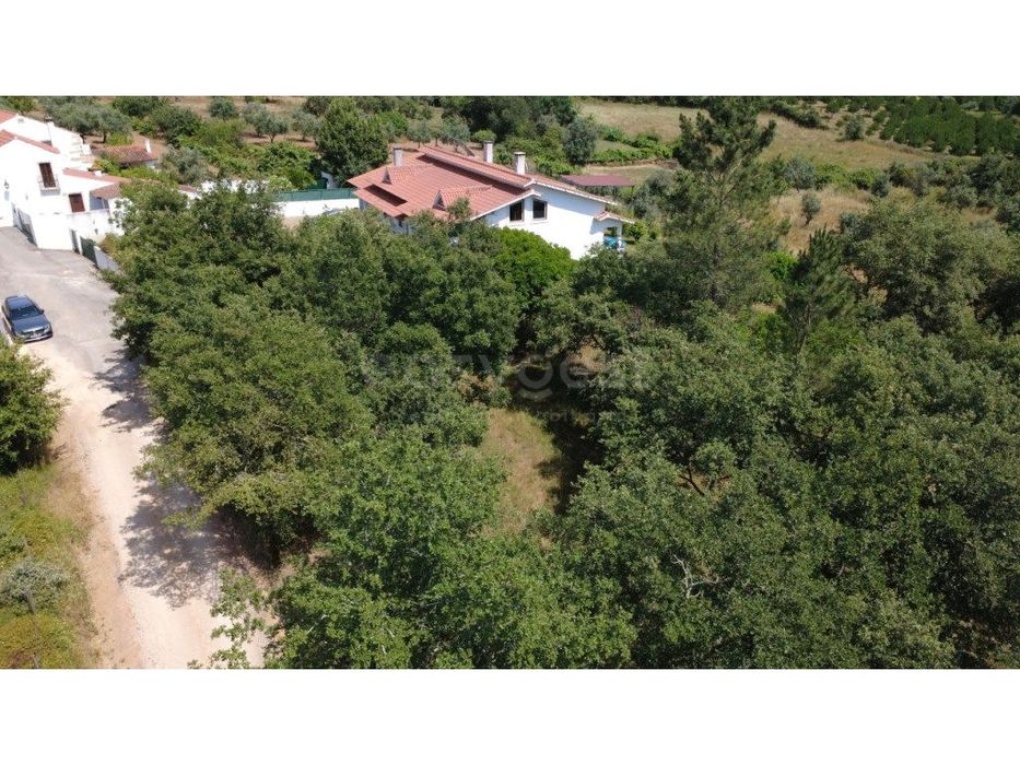 Venda conjunta ou em separado de dois terrenos urbanos