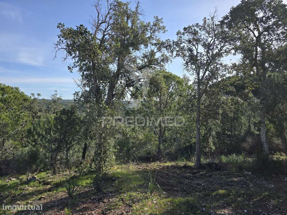 Rustic Land Plot - Vale Figueira Area