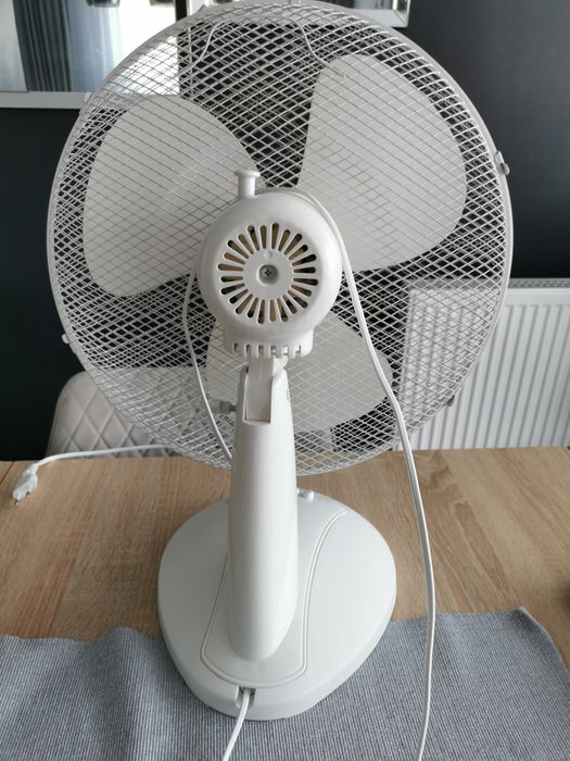 Wiatrak qilive polecam