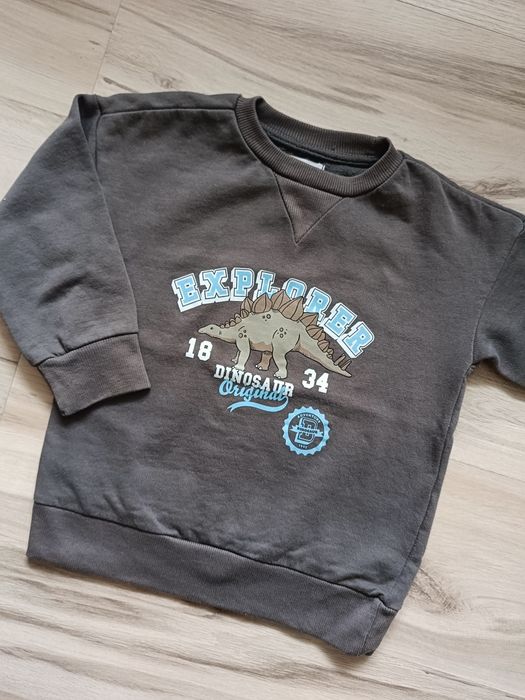 Bluza chłopięca dinozaury
